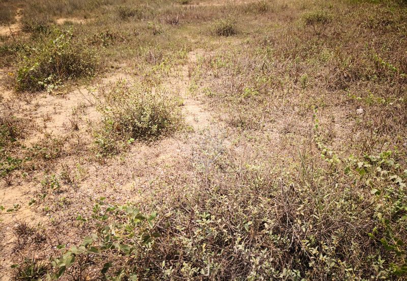 Jenjarom Industrial Park