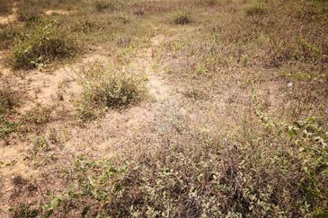 Jenjarom Industrial Park