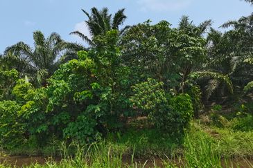 Pulau Meranti ( Industrial )