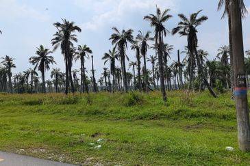 Pulau Meranti ( Industrial )