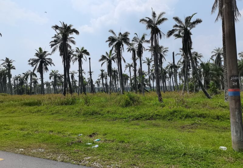 Pulau Meranti ( Industrial )