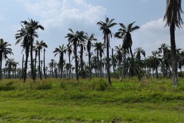 Pulau Meranti ( Industrial )