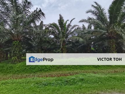 Kuala Selangor agricultural land for sale , Selangor, Kuala Selangor