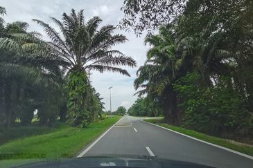Kuala Selangor agricultural land for sale 