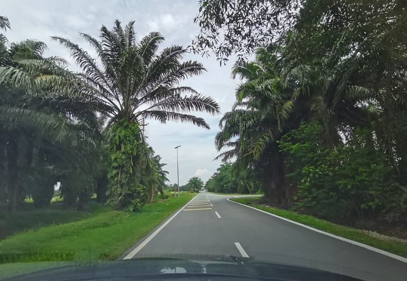 Kuala Selangor agricultural land for sale 