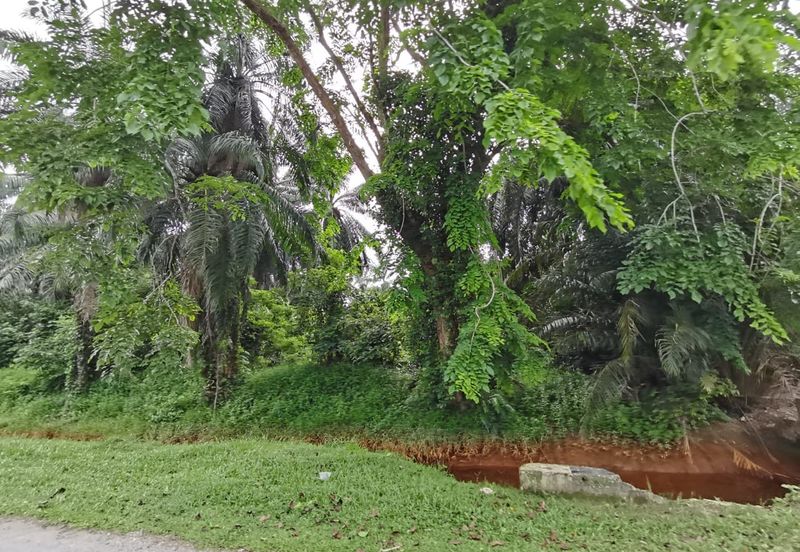 Kuala Selangor agricultural land for sale 