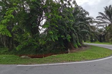 Kuala Selangor agricultural land for sale 