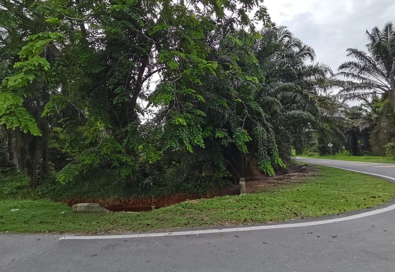 Kuala Selangor agricultural land for sale 