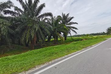 Kuala Selangor agricultural land for sale 