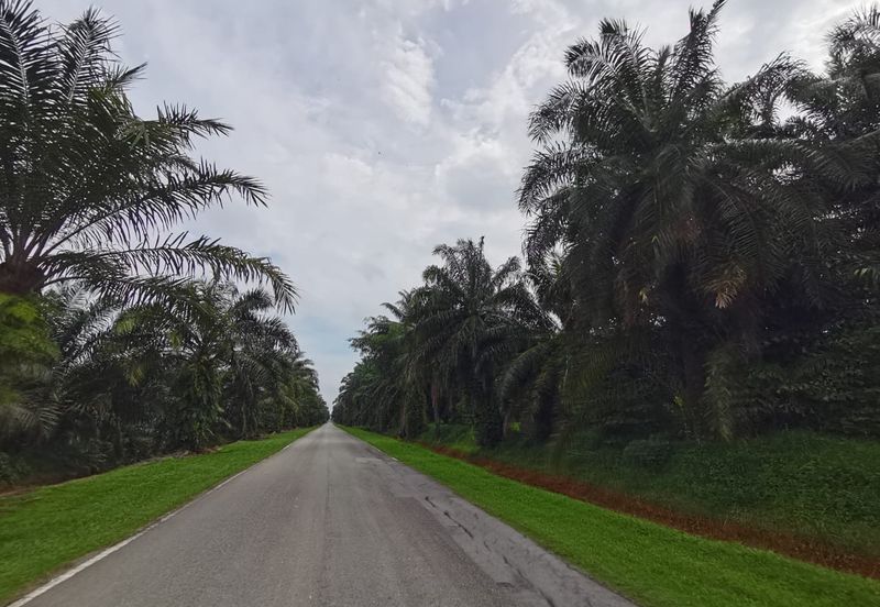 Kuala Selangor agricultural land for sale 