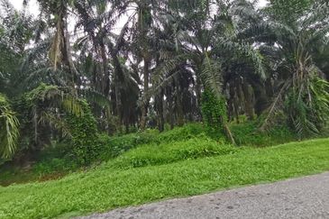 Kuala Selangor agricultural land for sale 