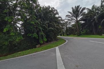 Kuala Selangor agricultural land for sale 
