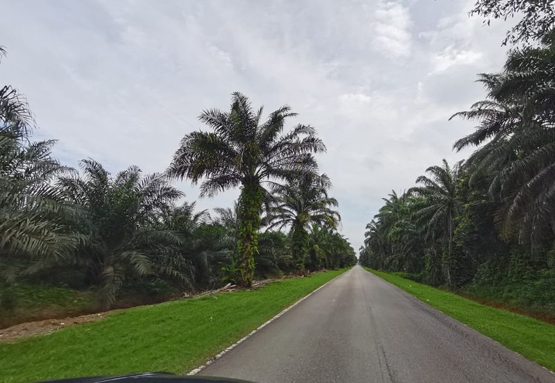 Kuala Selangor agricultural land for sale 