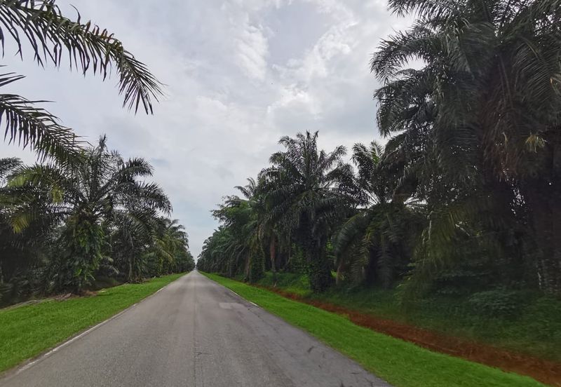 Johol Kuala Pilah Negeri Sembilan agricultural land for sale 