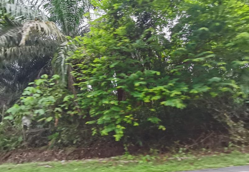 Johol Kuala Pilah Negeri Sembilan agricultural land for sale 