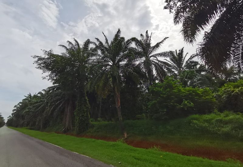 Johol Kuala Pilah Negeri Sembilan agricultural land for sale 