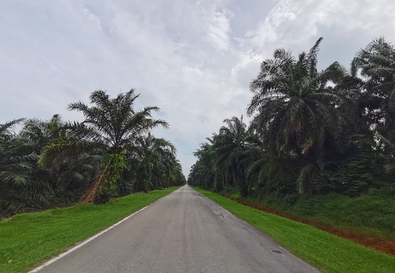 Johol Kuala Pilah Negeri Sembilan agricultural land for sale 