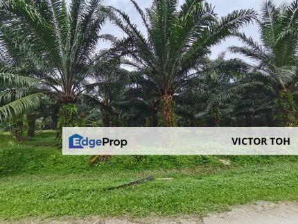 Johol Kuala Pilah Negeri Sembilan agricultural land for sale , Negeri Sembilan, Johol