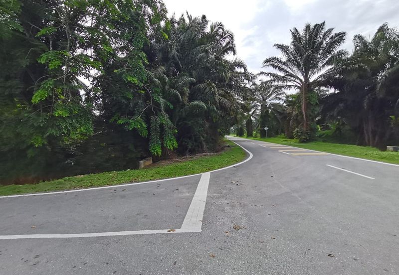 Johol Kuala Pilah Negeri Sembilan agricultural land for sale 