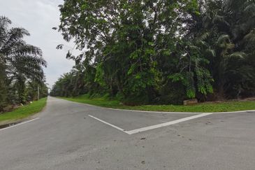 Johol Kuala Pilah Negeri Sembilan agricultural land for sale 