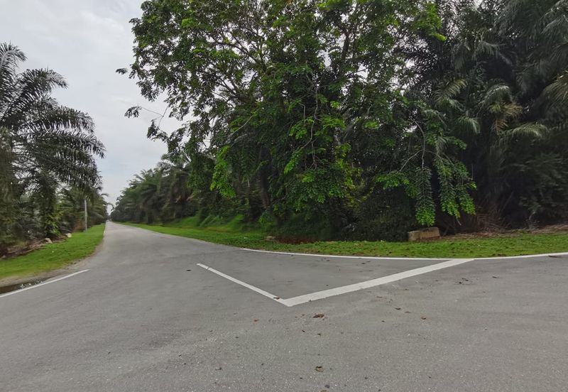 Johol Kuala Pilah Negeri Sembilan agricultural land for sale 