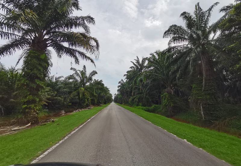 Johol Kuala Pilah Negeri Sembilan agricultural land for sale 