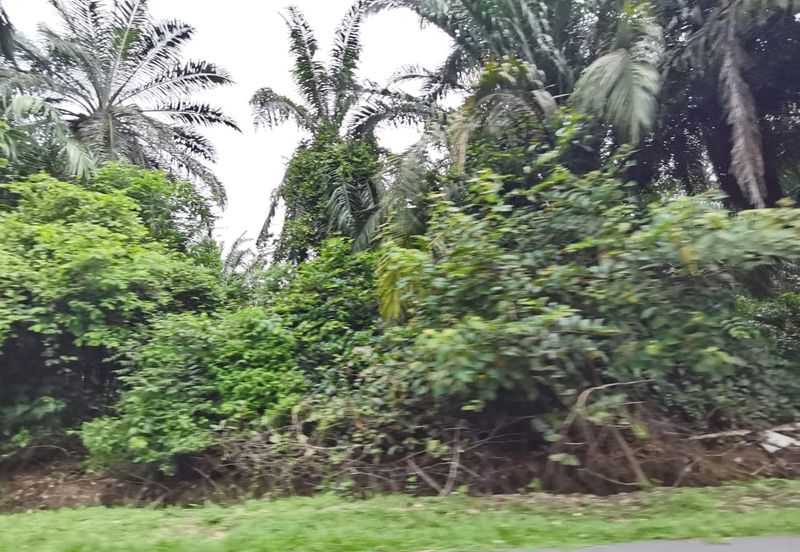 Johol Kuala Pilah Negeri Sembilan agricultural land for sale 