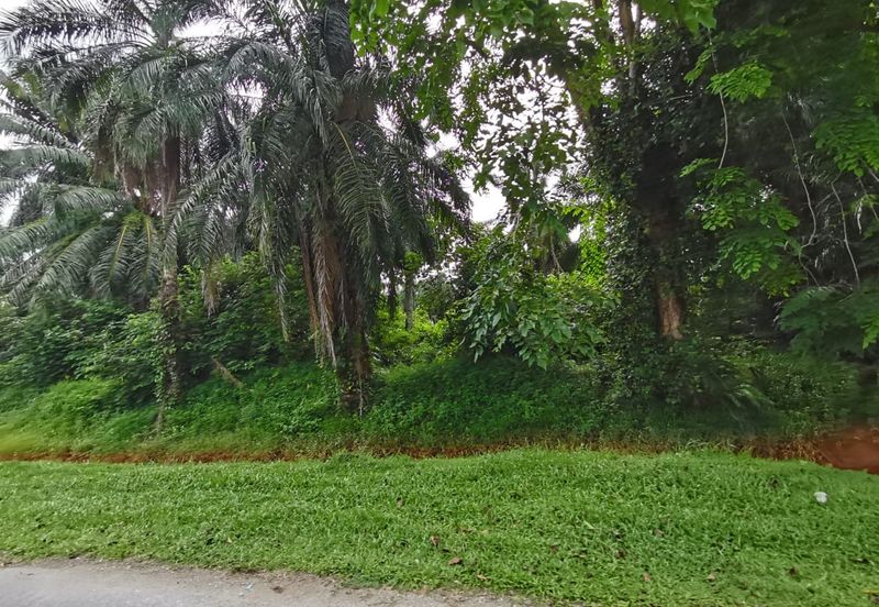 Johol Kuala Pilah Negeri Sembilan agricultural land for sale 