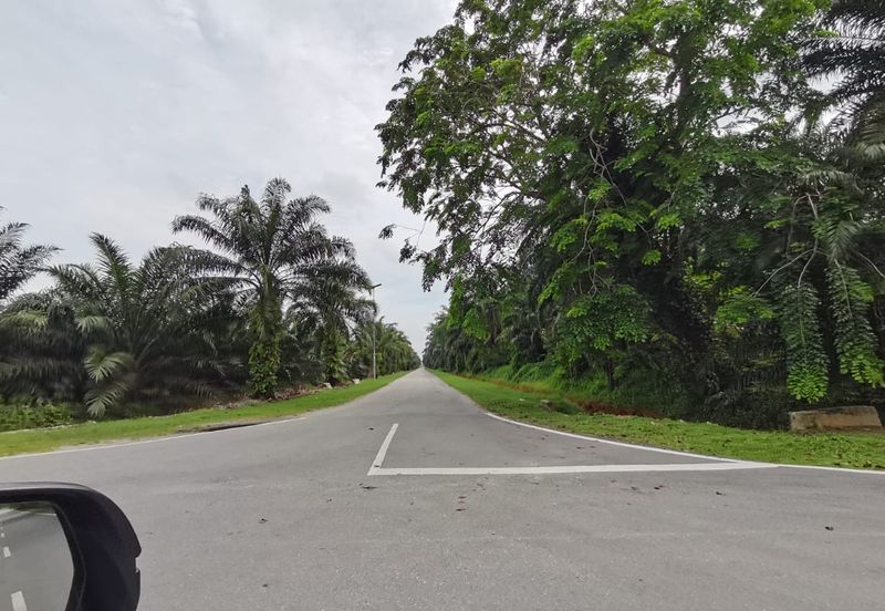 Johol Kuala Pilah Negeri Sembilan agricultural land for sale 