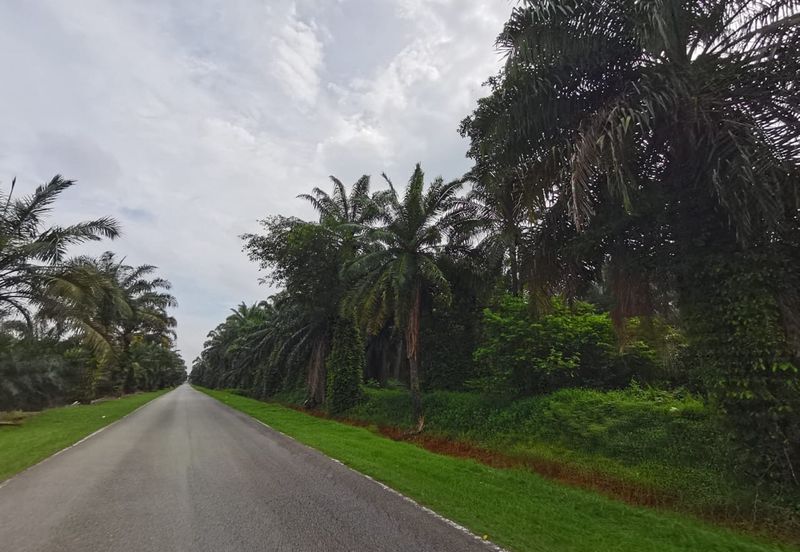 Johol Kuala Pilah Negeri Sembilan agricultural land for sale 