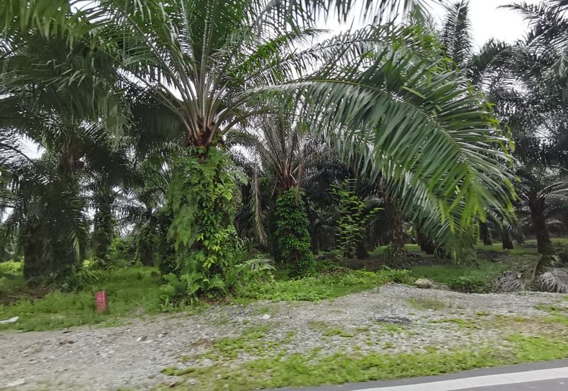 Johol Kuala Pilah Negeri Sembilan agricultural land for sale 