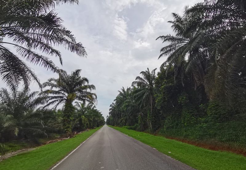 Johol Kuala Pilah Negeri Sembilan agricultural land for sale 