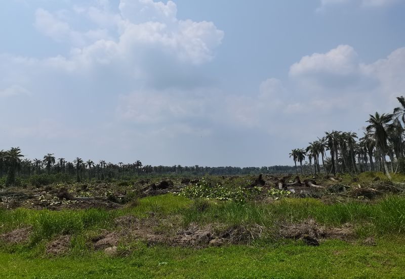 Taman Bentong Makmur