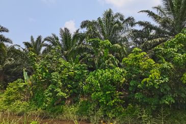 Taman Bentong Makmur