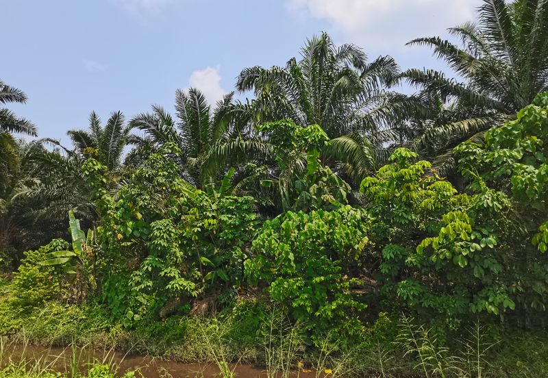 Taman Bentong Makmur