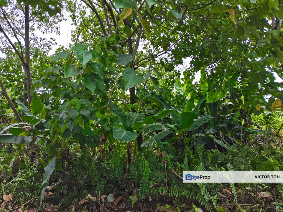 Meru Mukim Kapar agriculture flat land  , Selangor, Klang