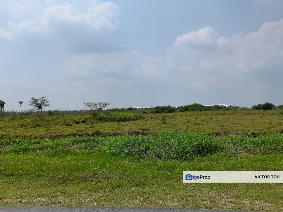 Labu agriculture land near Bandar Enstek Labu Seremban , Negeri Sembilan, Labu