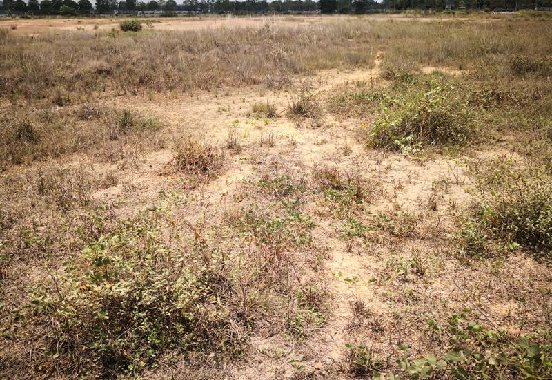 Jalan Bukit Kemuning