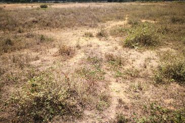 Jalan Bukit Kemuning