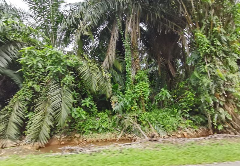 Agriculture land zone residential land for housing development 