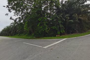 Agriculture land zone residential land for housing development 