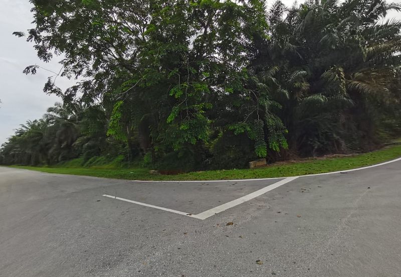 Agriculture land zone residential land for housing development 