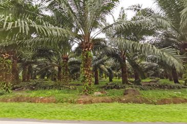 Agriculture land zone residential land for housing development 