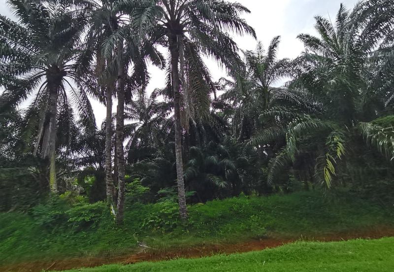 Agriculture land zone residential land for housing development 