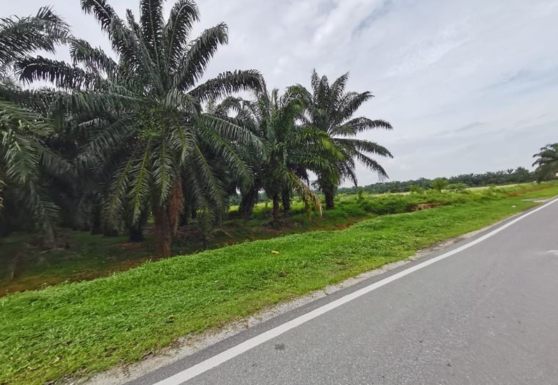 Agriculture land zone residential land for housing development 