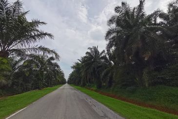 Agriculture land zone residential land for housing development 