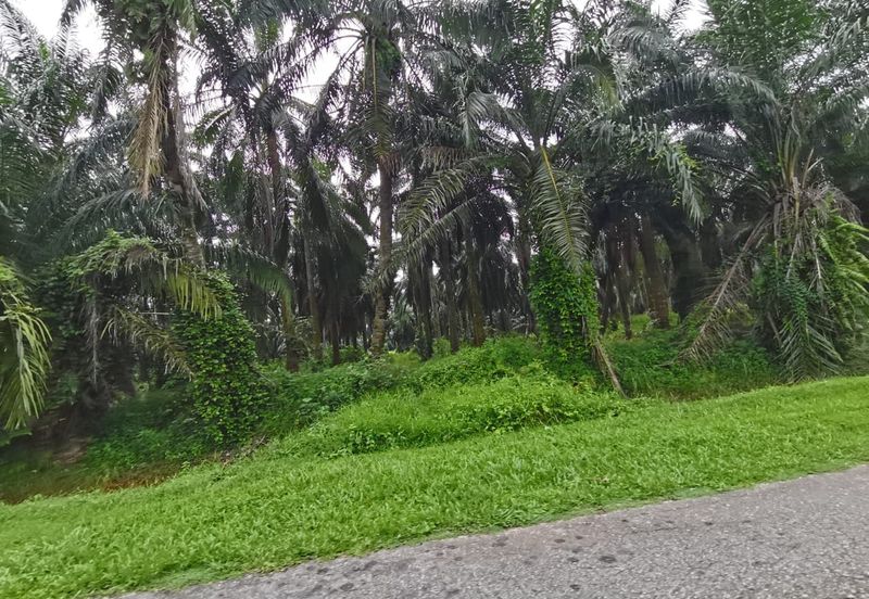 Agriculture land zone residential land for housing development 