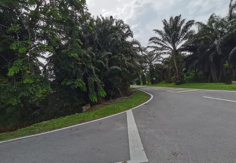 Agriculture land zone residential land for housing development 