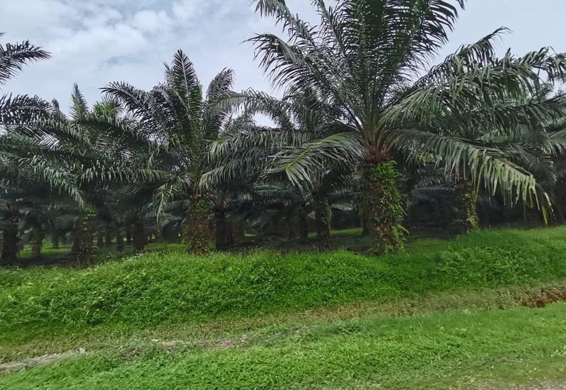 Agriculture land zone residential land for housing development 