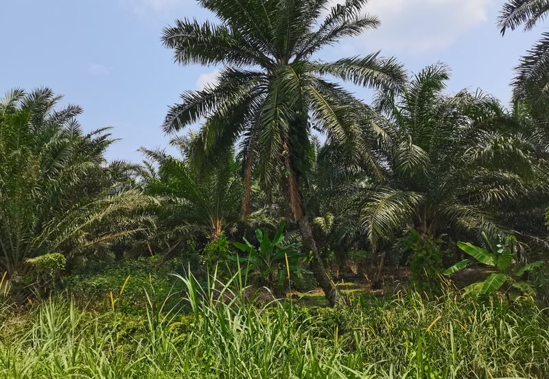 Telok Panglima Garang